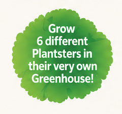 Grow 6 different Plantsters in their very own Greenhouse!